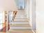 Immagine 14