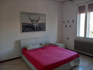 Matrimoniale zona Università/Centro S