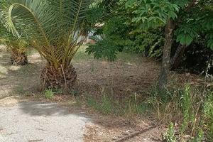 Rif.3650TG86278| terreno agricolo caltanissetta