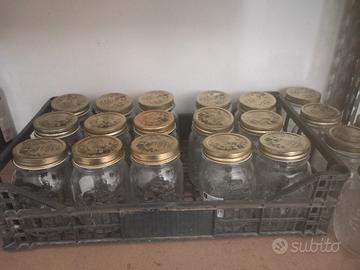 Barattoli Bormioli Quattro Stagioni 500 ml