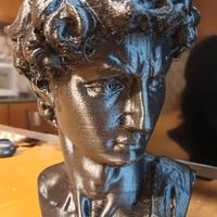 David di Michelangelo in stampa 3D