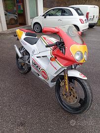 Cagiva Mito Luchy Explorer 1serie