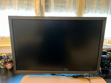 Eizo CS 2420 e sonda di calibrazione