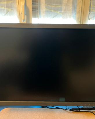 Eizo CS 2420 e sonda di calibrazione