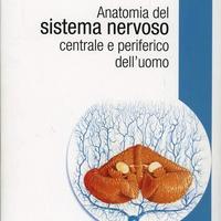 Anatomia del sistema nervoso - Cattaneo 