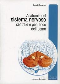 Anatomia del sistema nervoso - Cattaneo 