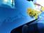 Immagine 12