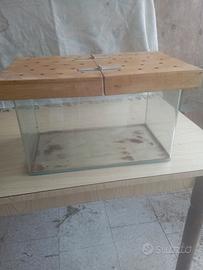 Terrario per insetti