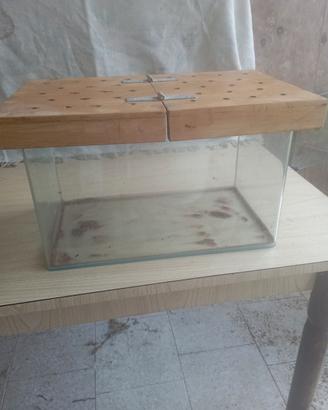 Terrario per insetti