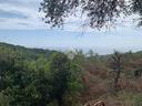 ter-agricolo-a-lavagna
