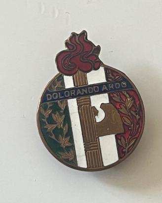 Distintivo d’onore per feriti “Dolorando Ardo”