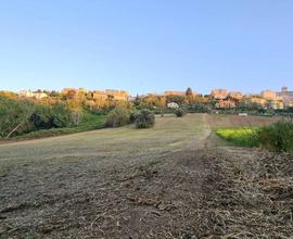 TERRENO AGRICOLO 2 ETTARI, OSIMO