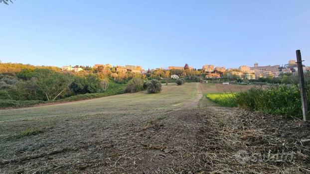 TERRENO AGRICOLO 2 ETTARI, OSIMO