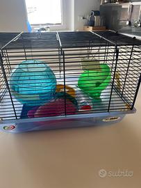 Accessori per animali