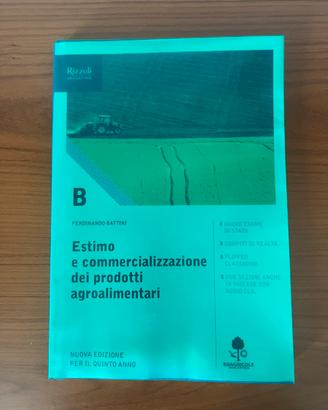 libro di estimo