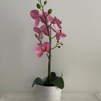 Orchidea artificiale