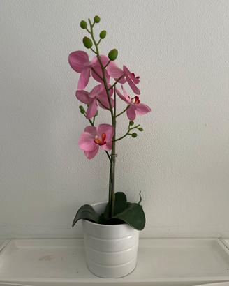 Orchidea artificiale