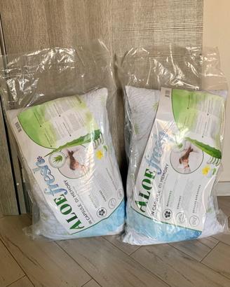 Coppia di cuscini memory aloe Kasanova