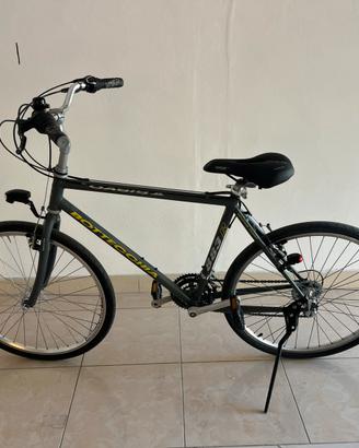 Bici bottecchia
