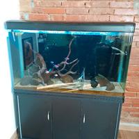 Acquario da 300 litri