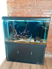 Acquario da 300 litri