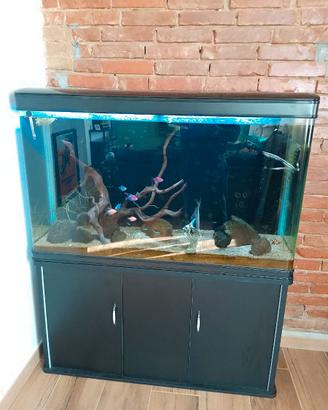 Acquario da 300 litri