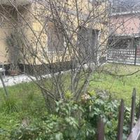 Appartamento ss per Genova ,Carbonara Scrivia (Al)