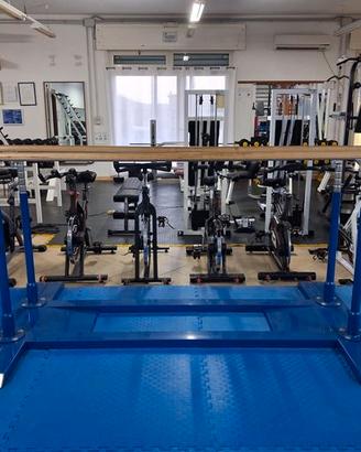 Parallele per calisthenics, ginnastica, addome