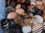 Immagine 1