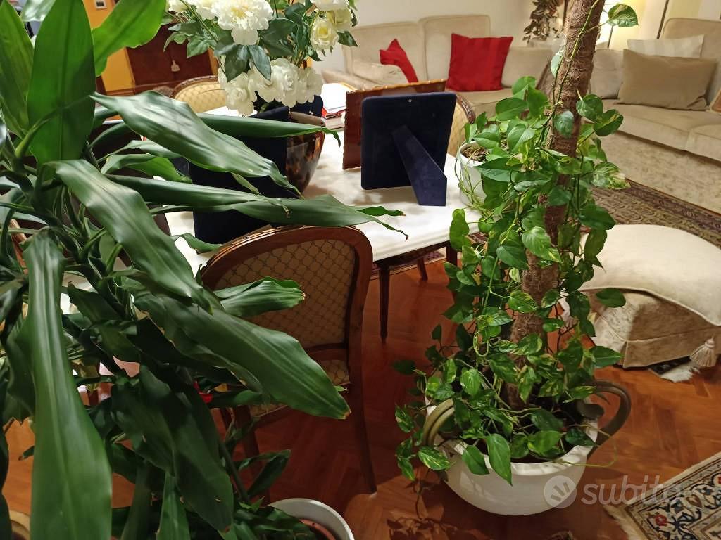 Appartamento di 148 m² con 5 locali e box auto a P - Vista 6