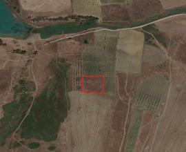 Castelvetrano Terreno Agricolo Del Tipo Seminativo