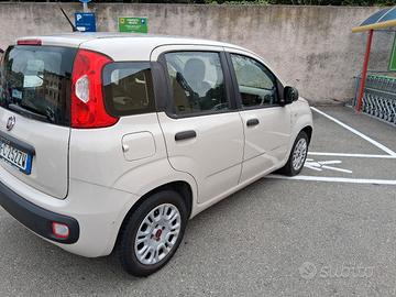 FIAT PANDA 1.2 BENZINA POCHI KM SOLO 53.800
