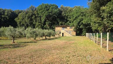 Rustico a Lugnano in Teverina
