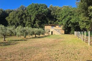 Rustico a Lugnano in Teverina
