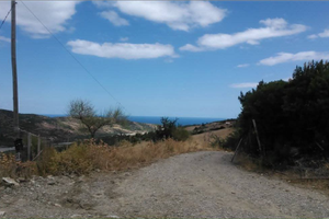 Casetta indipendente