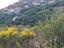 Immagine 26