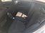 Immagine 9