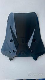 Parabrezza Moto BMW R1300GS