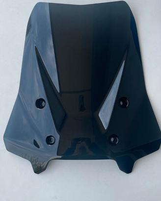 Parabrezza Moto BMW R1300GS