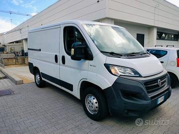 Fiat Ducato 2.3 MTJ - 120 CV - Anno 2019