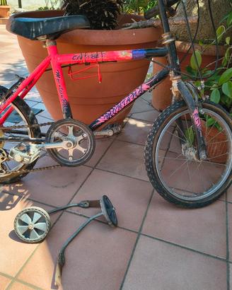 bicicletta 