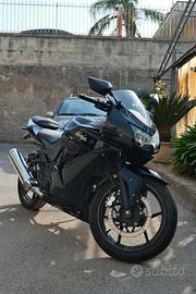 Kawasawi ninja 250r