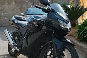 Kawasawi ninja 250r