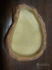 Ciotola per rettili per acqua/cibo 