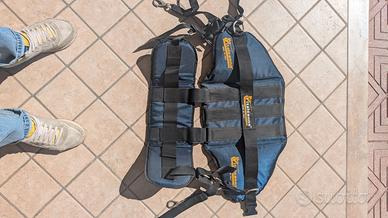 Renale tonni italcanna