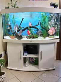 Acquario juwel 260 litri