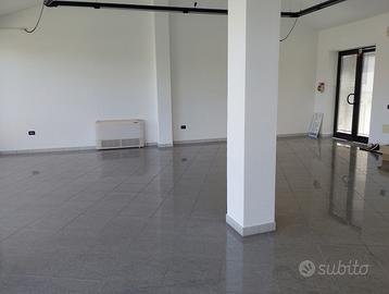 Negozio Rovigo [RO2928ACG]