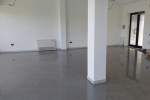 Negozio Rovigo [RO2928ACG]