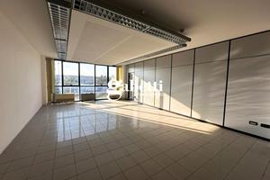 Ufficio Conselve [Cod. rif 0629251064VCU]