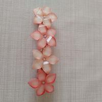 Molletta per i capelli 